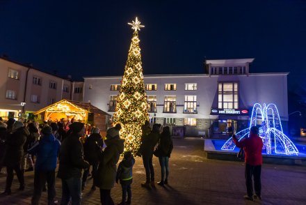 Rozświetlenie choinki na Placu Hoffa